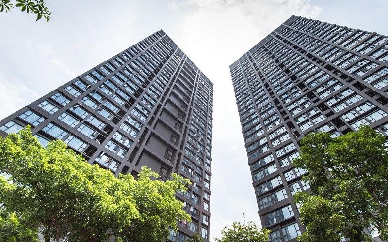 CHINA Sunshine Opto-electronics Enterprise Co.,ltd Perfil da companhia