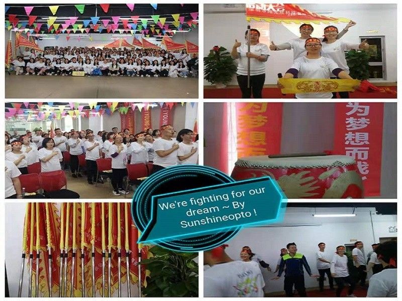 CHINA Sunshine Opto-electronics Enterprise Co.,ltd Perfil da companhia