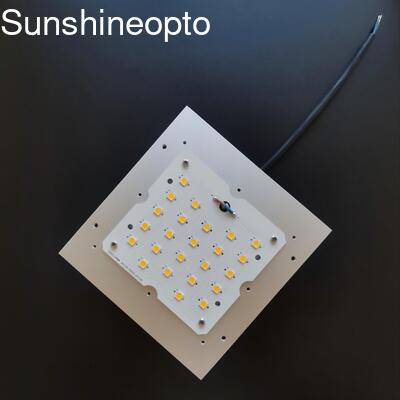 Módulo PCB 30W/50W/60W/100W Lentes Ópticas TIPO II 24 LEDs 5050 Painel LED Luz Externa