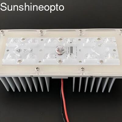 Módulo de luz LED 12 LEDs 5050 SMD com lente de ângulo de feixe de 173 mm 145x70 graus para iluminação pública